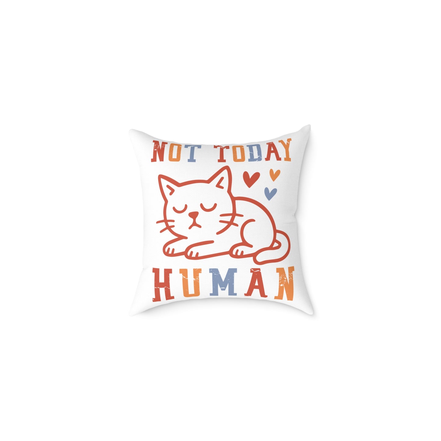 Sleeping Cat  Pillow